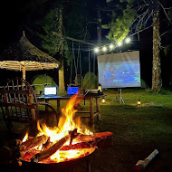Bonfire Nights