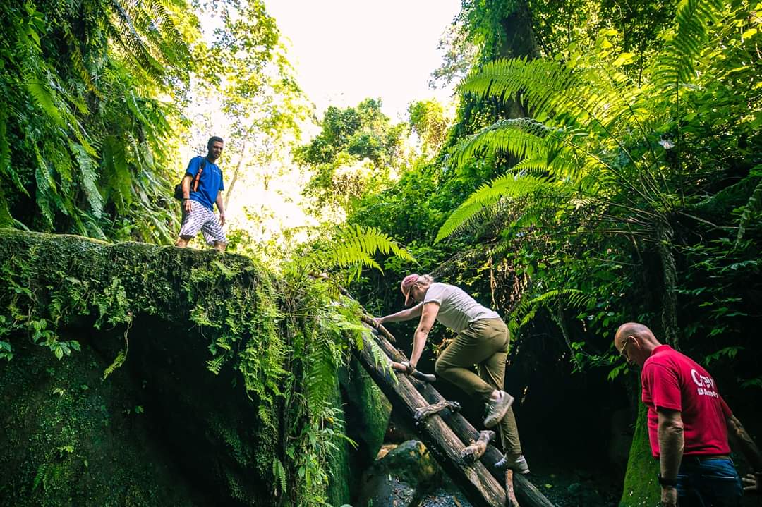 Forest Hiking & Waterfall