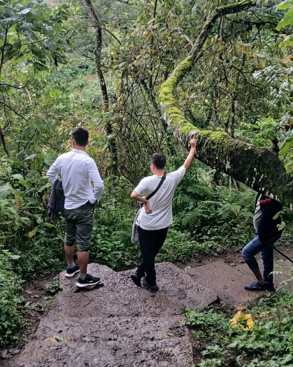 Nature Trails